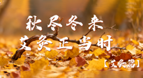 【健康/艾灸】秋盡冬來，艾灸正當(dāng)時(shí)——解鎖季節(jié)交替的養(yǎng)生密碼！